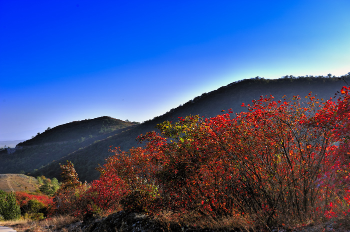 _DSC5758.jpg