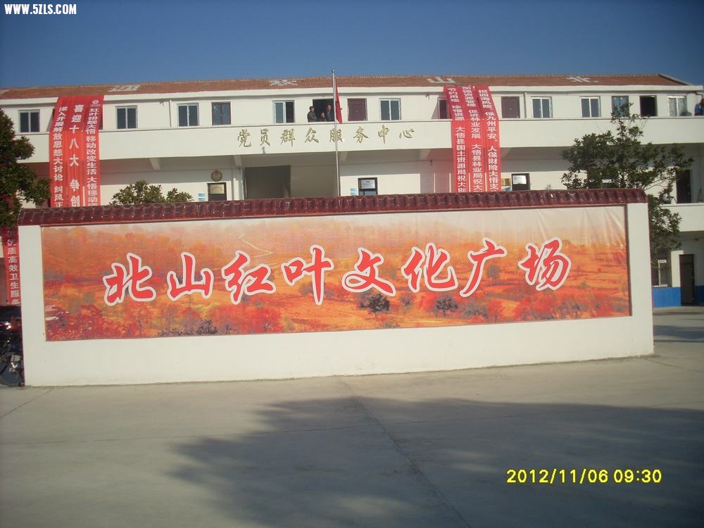 SL381295.JPG