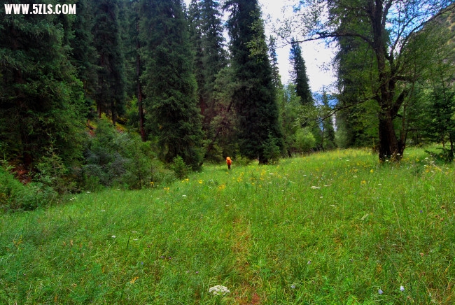 DSC_4832.JPG