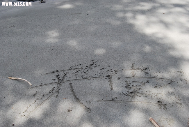 DSC_4834.JPG