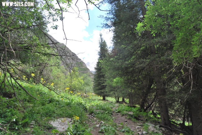 DSC_4891.JPG