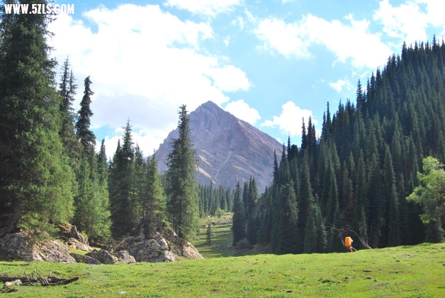 DSC_4914.JPG