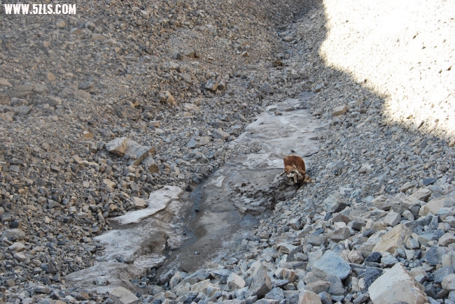 DSC_5127.JPG