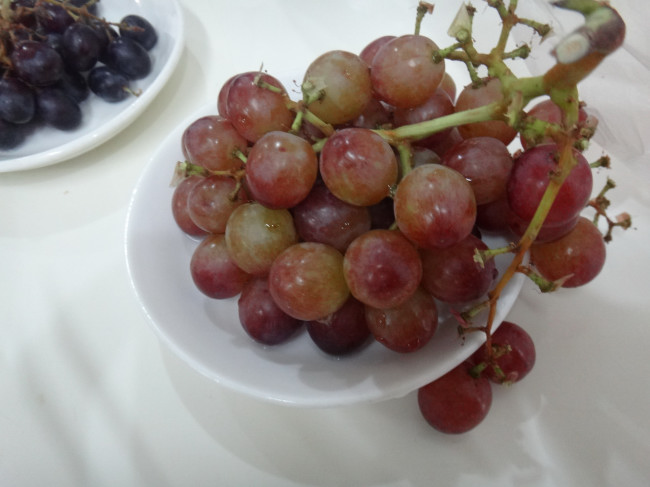 DSC00105.JPG