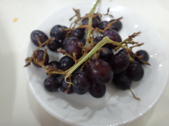 DSC00106.JPG