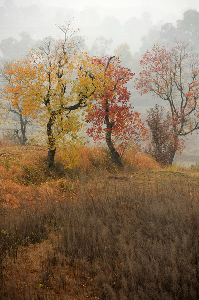 DSC_2924.jpg