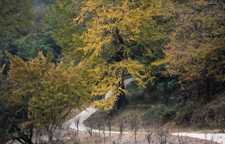 DSC_2578.jpg