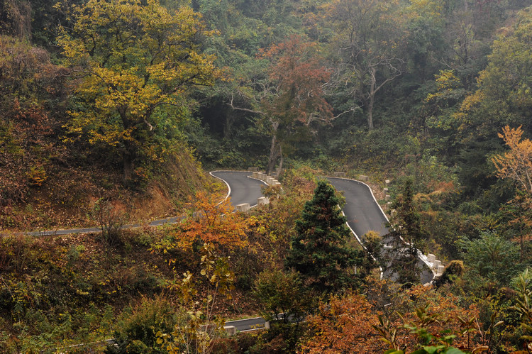 DSC_2756.jpg