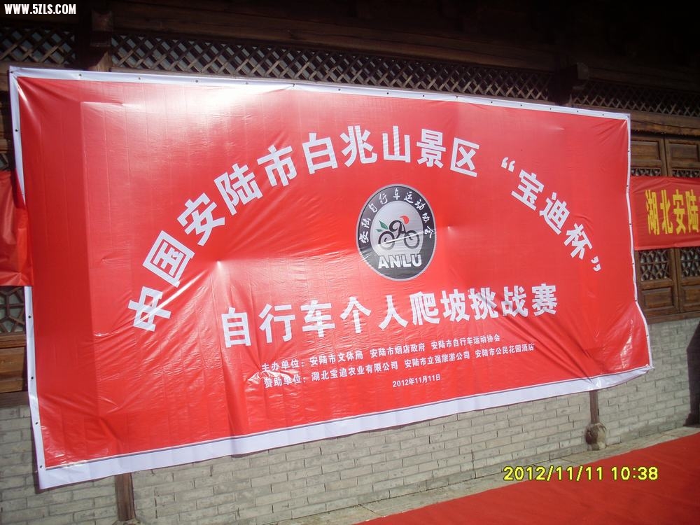 SL381524.JPG