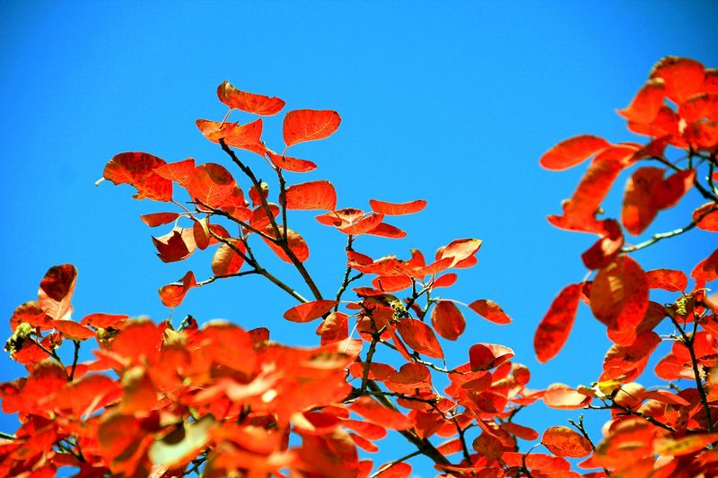 _MG_9371.jpg