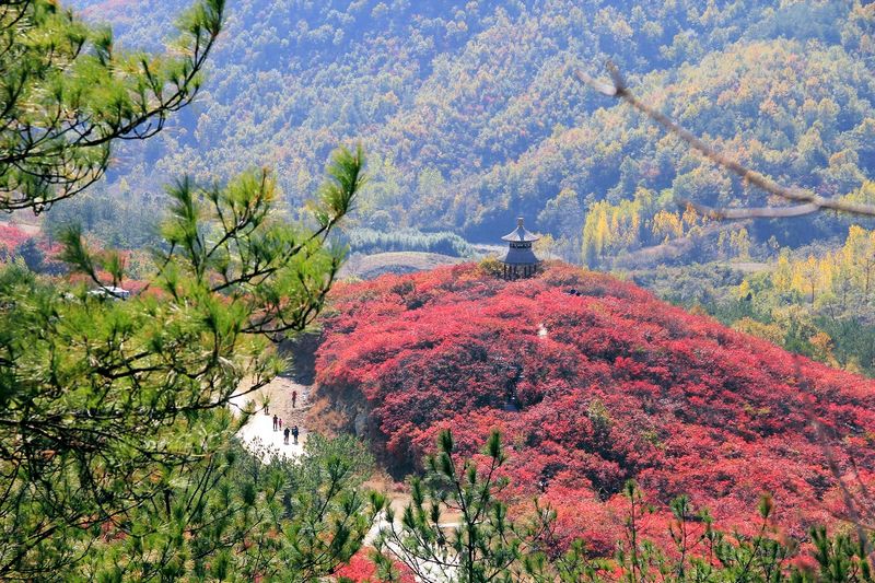 _MG_9643.jpg