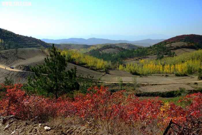 DSC_5044_009.jpg