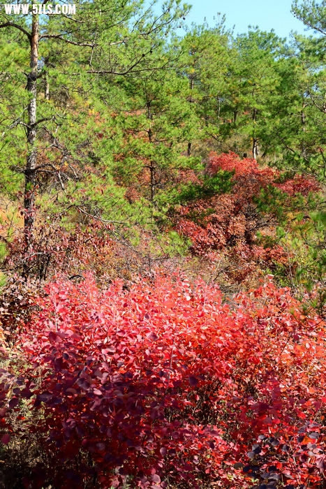 DSC_5033_007.jpg