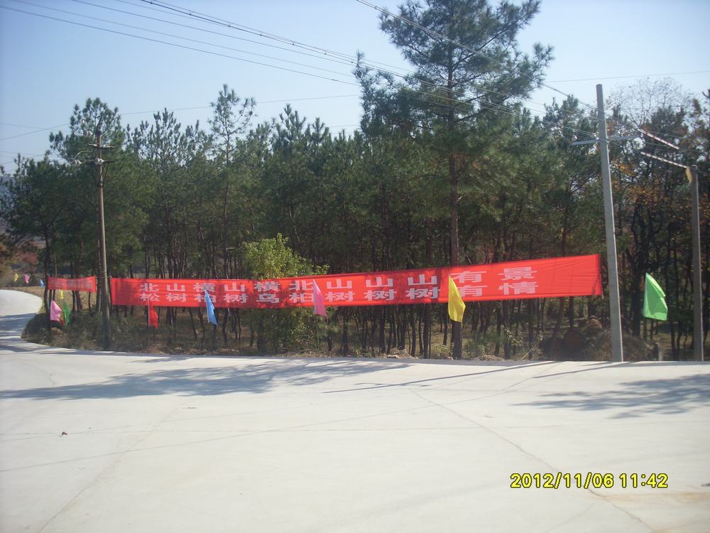 SL381337.JPG