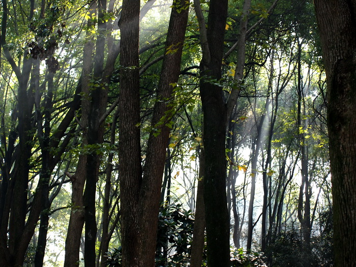 P1016865_С.jpg