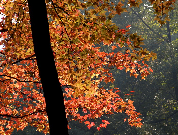 P1016877_С.jpg
