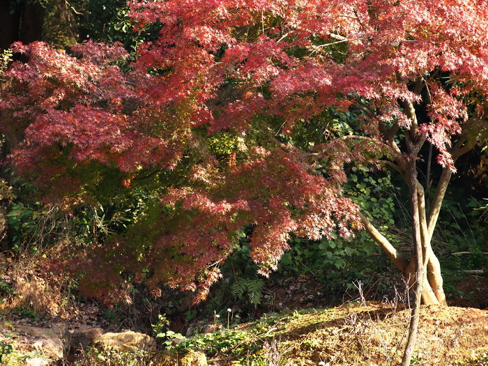 P1016888_С.jpg