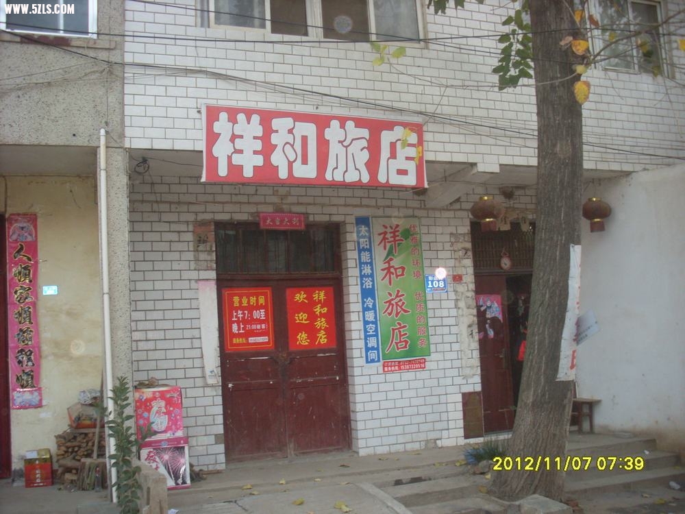 SL381358.JPG