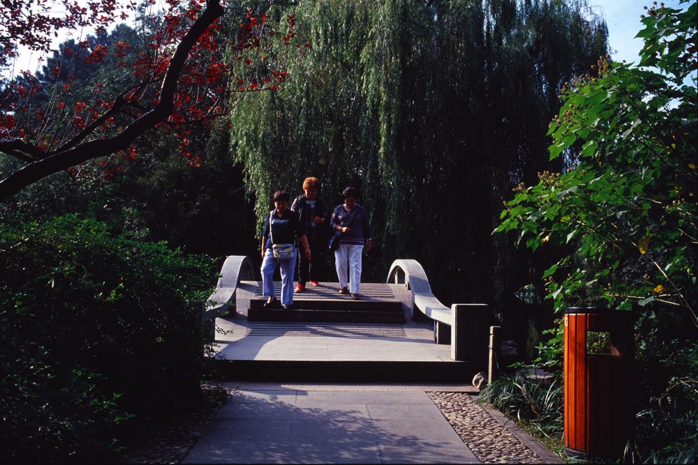 图像 004b.jpg