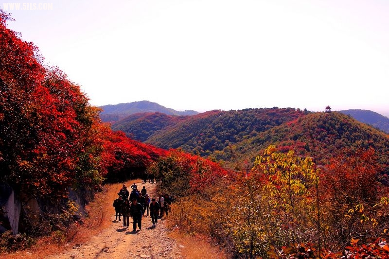 _MG_9208.jpg