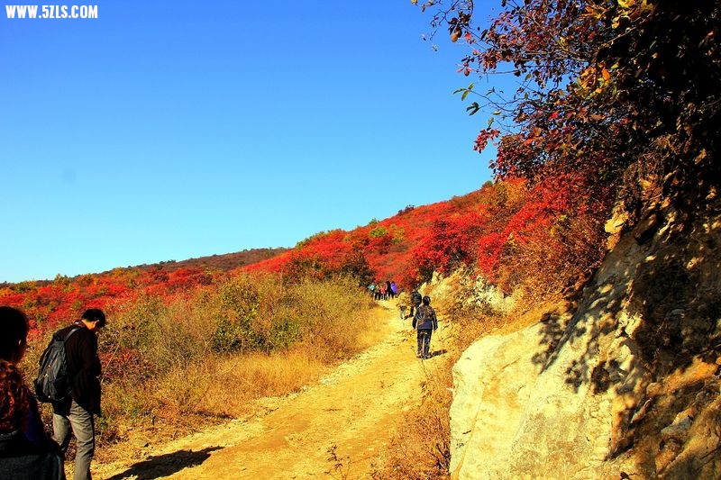 _MG_9209.jpg
