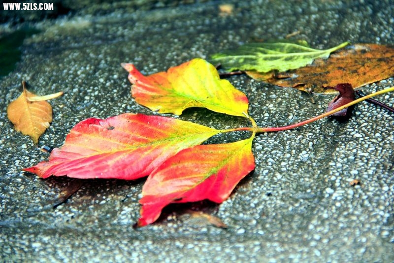 _MG_8782.jpg