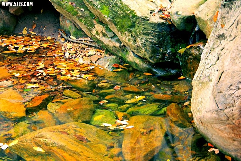 _MG_8895.jpg