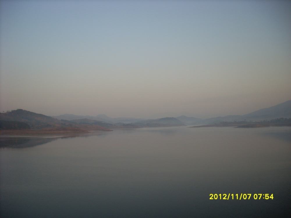 SL381360.JPG