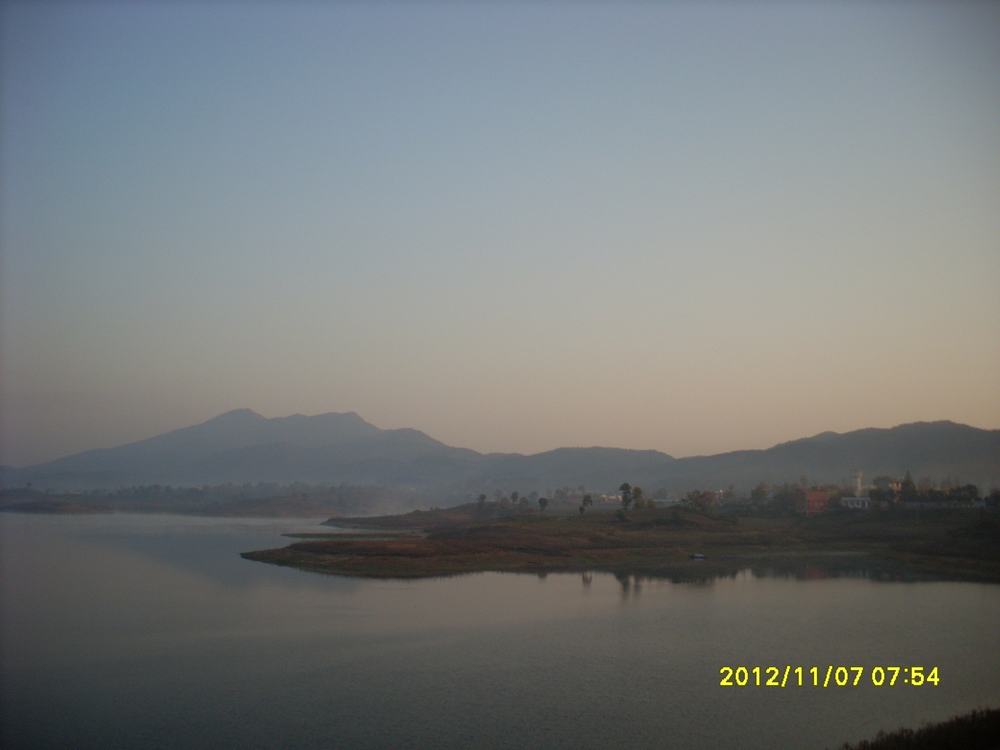 SL381362.JPG