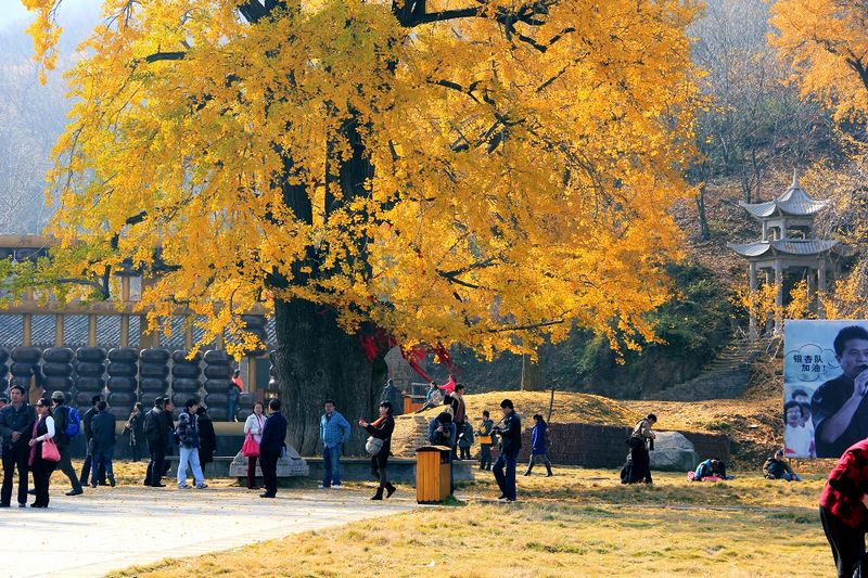 _MG_9839.jpg