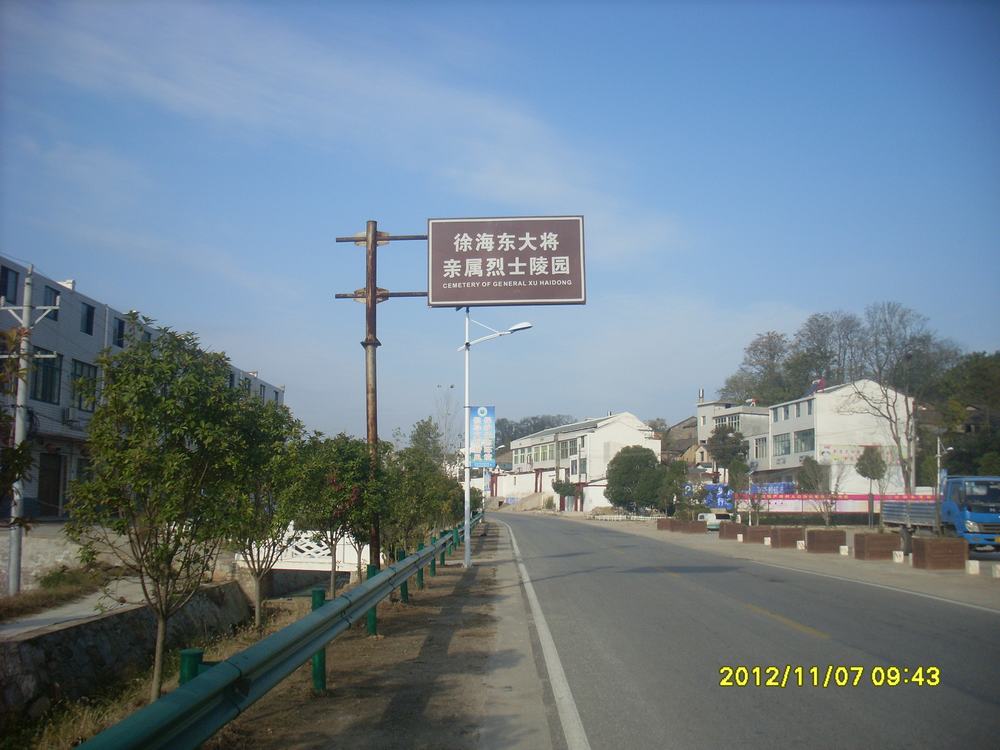 SL381376.JPG