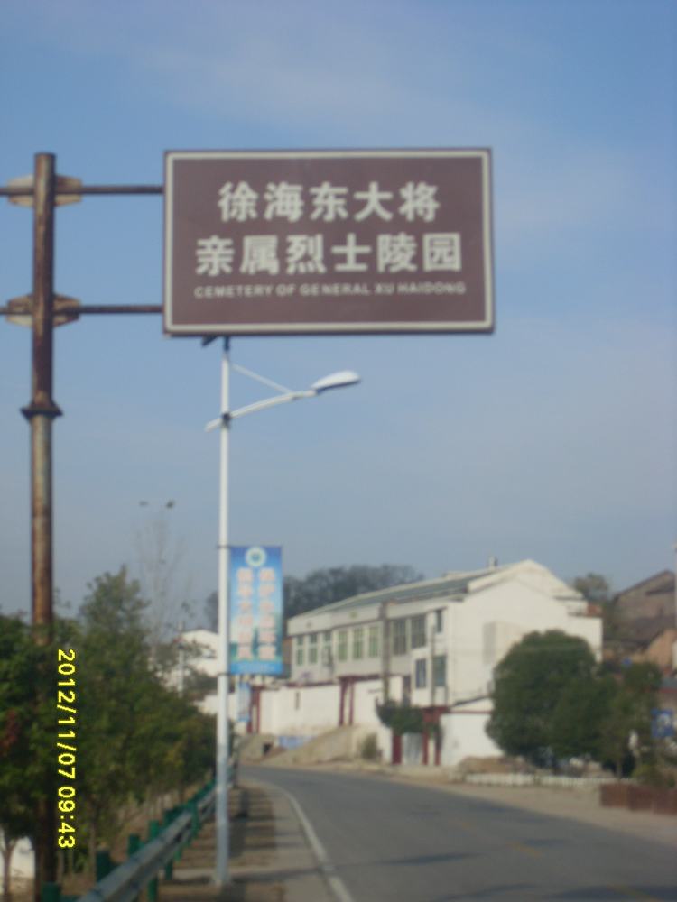SL381377.JPG