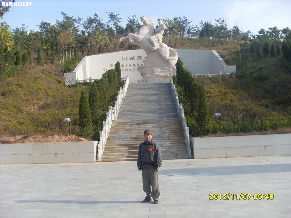 SL381382.JPG
