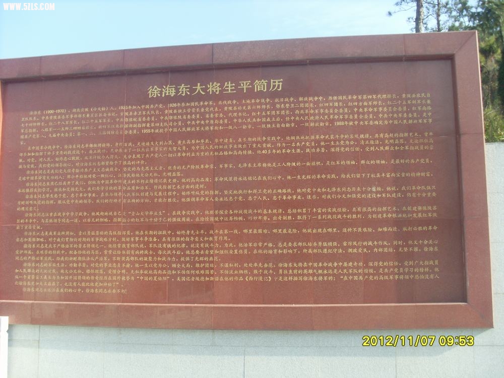 SL381390.JPG