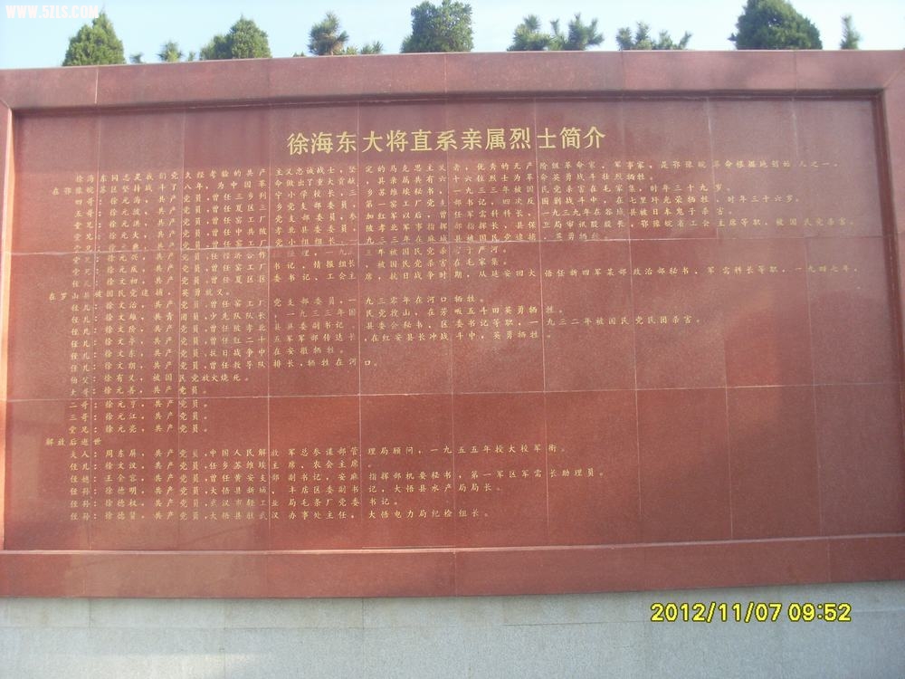 SL381389.JPG