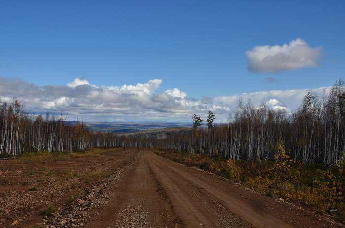 DSC_0904.jpg