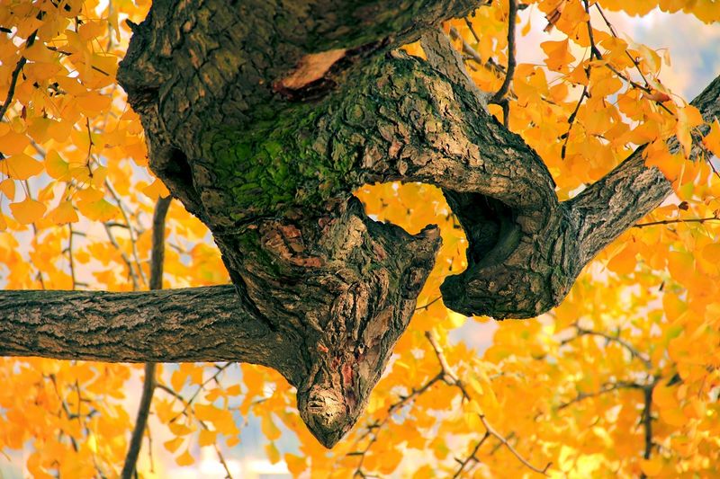 _MG_0107.jpg