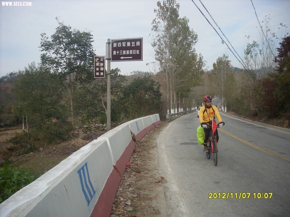 SL381395.JPG