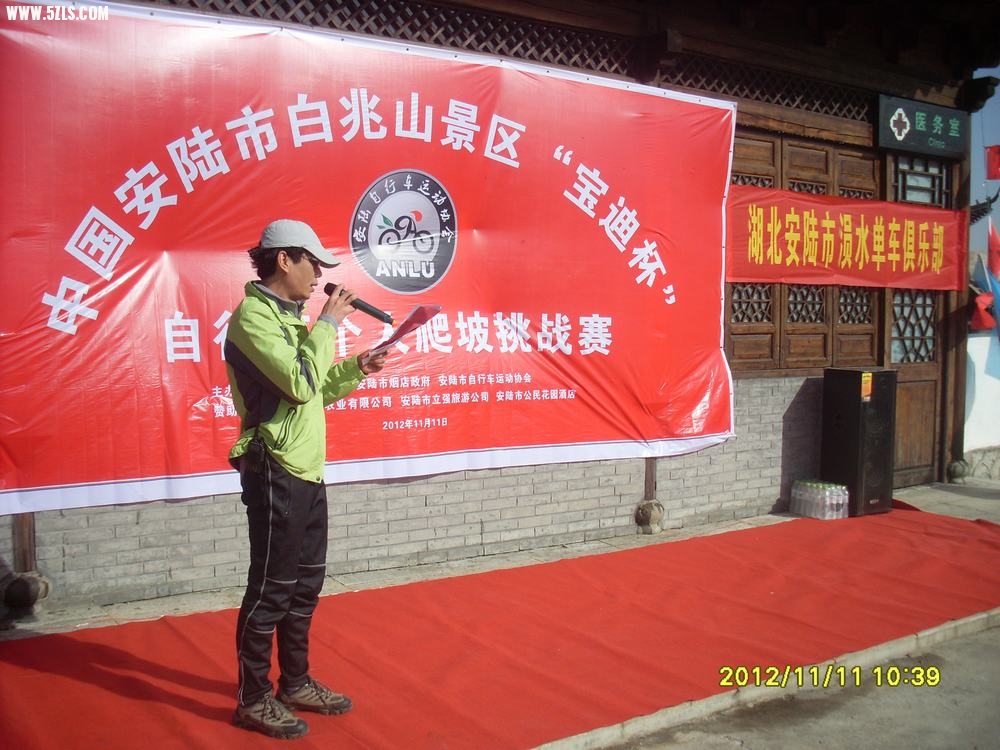 SL381528.JPG