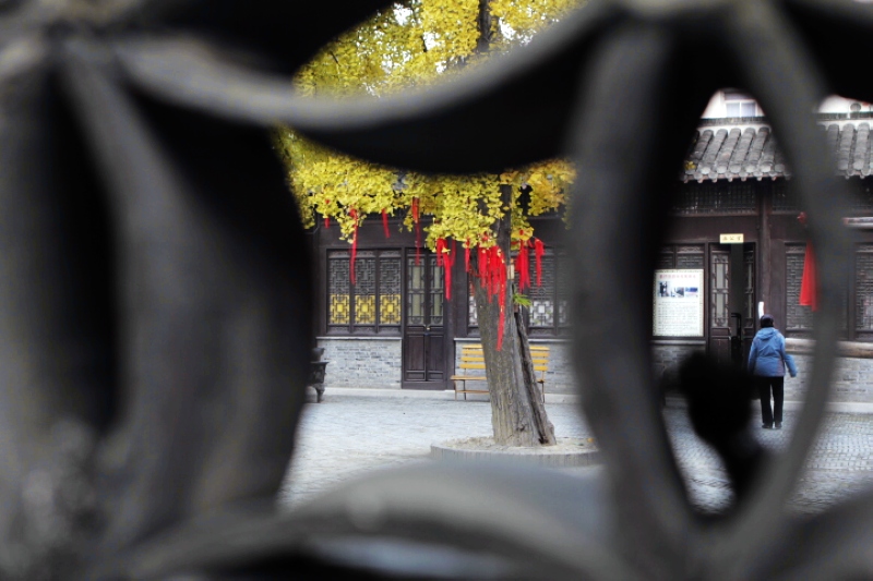 _MG_0242.jpg