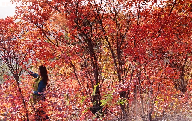 2012_11_17_0030.jpg