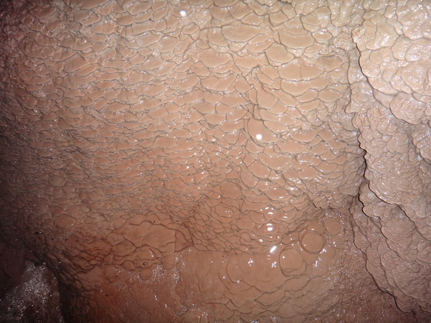 DSC01255_.jpg