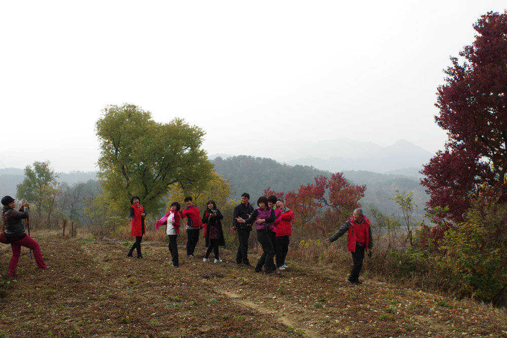 IMGP0161.jpg