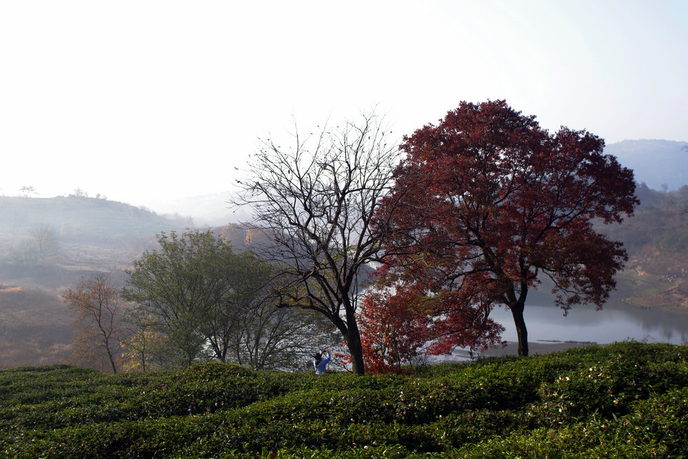 IMGP0292.jpg