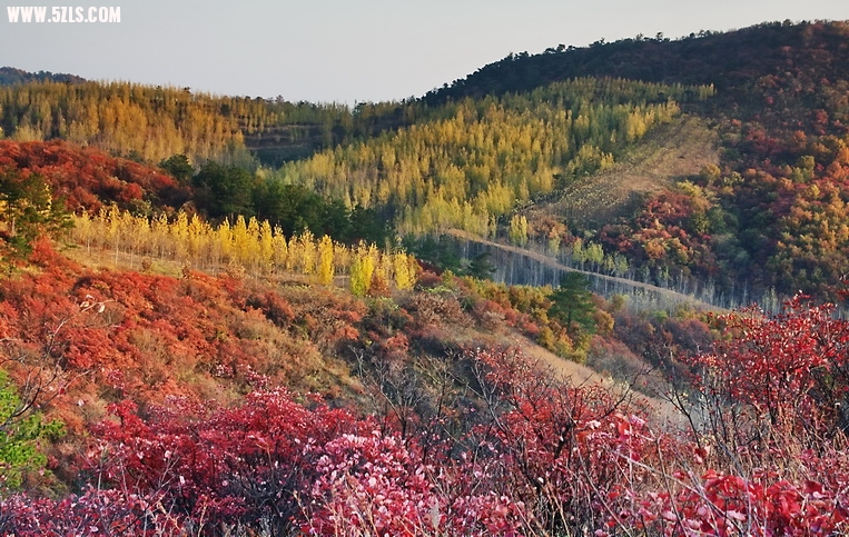 2012_11_17_0061.jpg