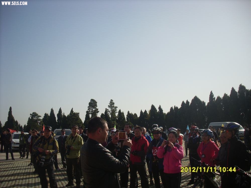 SL381541.JPG