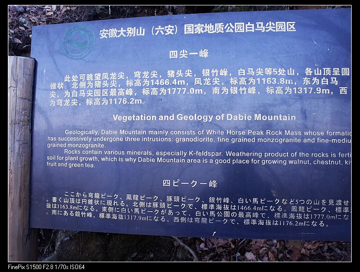 DSCF2962.jpg