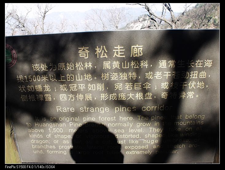 DSCF2984.jpg