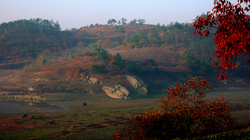 P1160204_.jpg