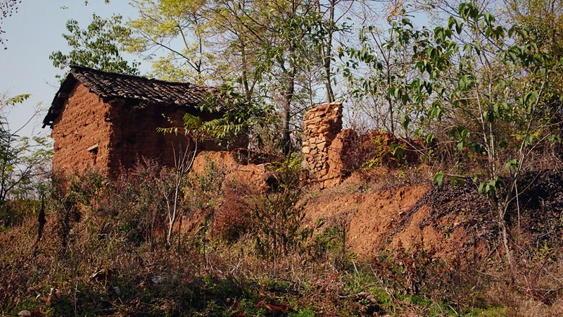 P1160280_.jpg